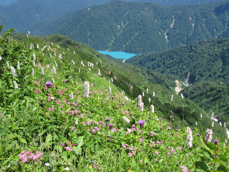d0103314_23583164.jpg