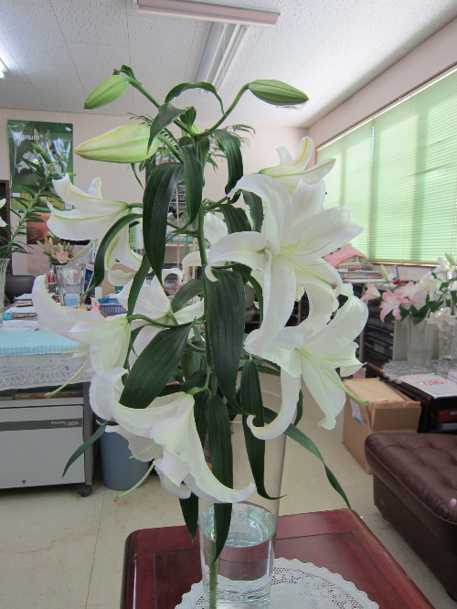 暑いぞ8月_f0067514_9135381.jpg
