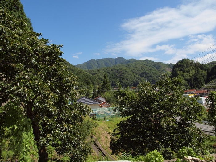 北東の風景と蓮田と田んぼ_c0116915_0104939.jpg