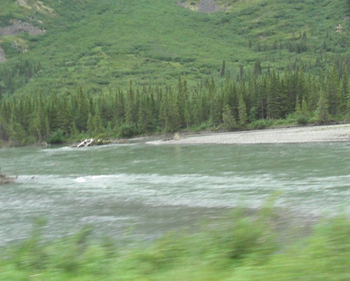 d0098316_19271620.jpg
