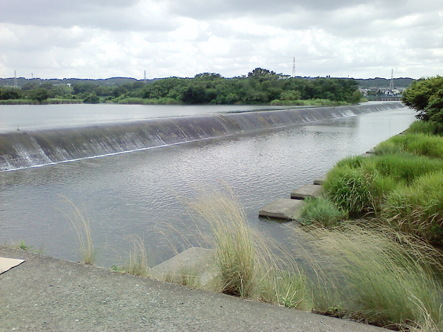 c0223419_1557675.jpg