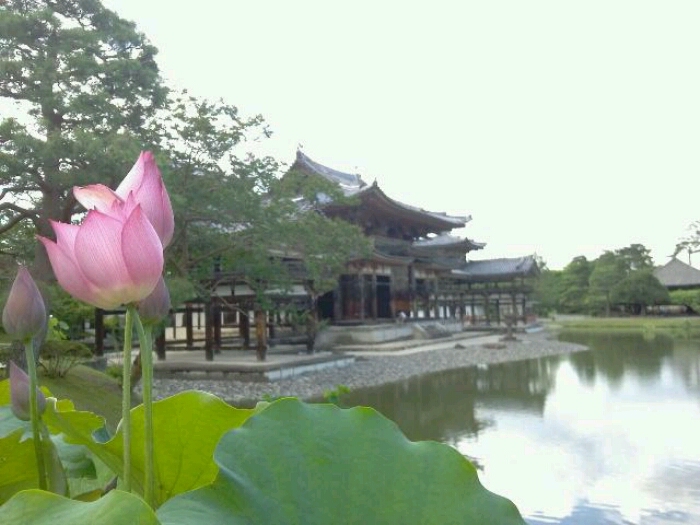 京都~滋賀へ_c0160822_10145676.jpg