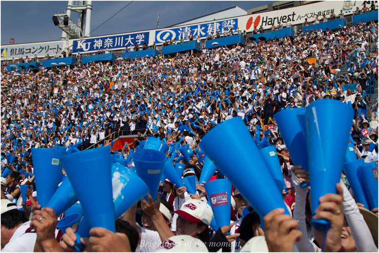 第９４回全国高等学校野球選手権神奈川大会_e0200922_0435743.jpg