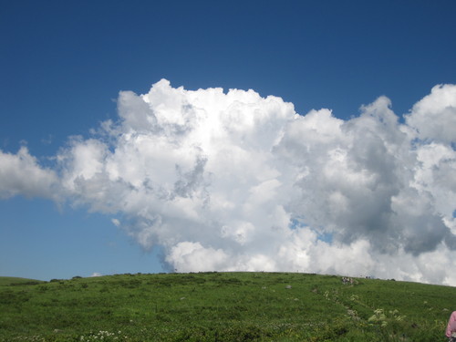 いよいよ夏本番ですね~_e0131324_14591579.jpg