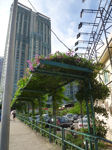 a0024829_1492122.jpg