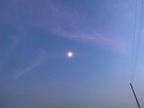 c0077330_12252453.jpg