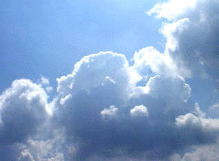 b0246533_2351753.gif