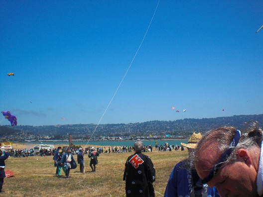 カイトフェスティバルで浜松の凧上げ_d0253133_84063.jpg