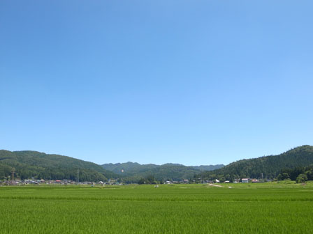 a0014840_1414212.jpg