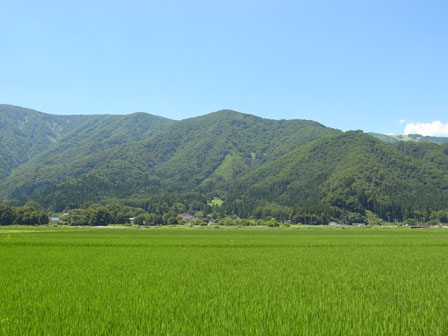 a0014840_1435545.jpg