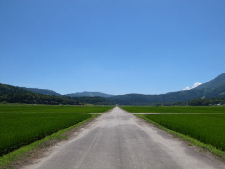 a0014840_1572265.jpg