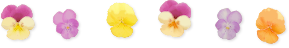 d0158141_1792148.png