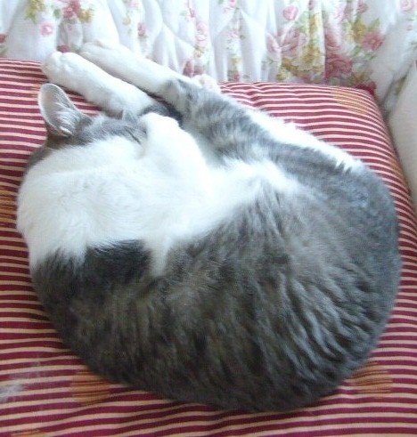 あちゃ~_f0002743_1824923.jpg
