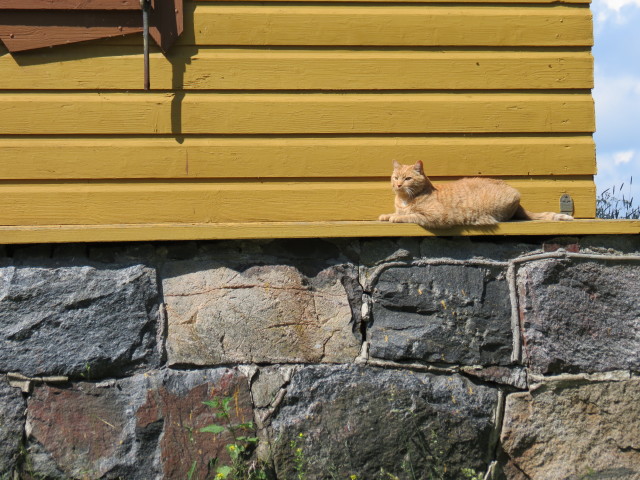 Suomenlinna(スオメリンナ）#3_e0039744_733585.jpg