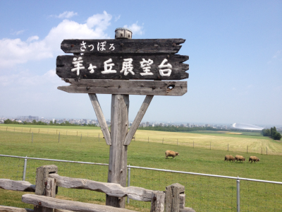 e0023247_1353765.jpg