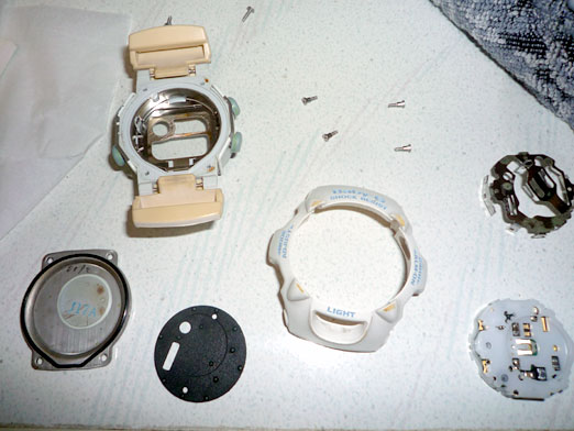 c0039153_10841.jpg