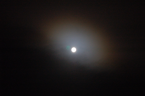 d0178656_0261865.jpg