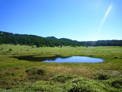 b0045357_12533594.jpg