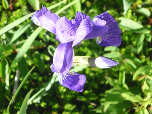 b0045357_1348100.jpg