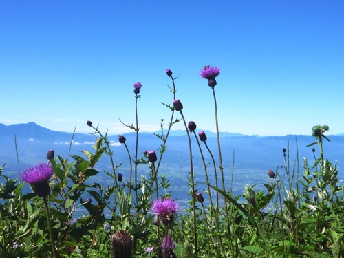 b0045357_1362521.jpg
