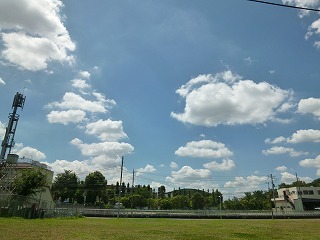 dog friends 嬉しいひととき♪_a0165160_1225359.jpg