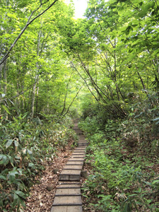 c0011862_1441336.jpg