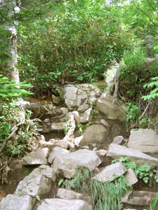 c0011862_14415129.jpg