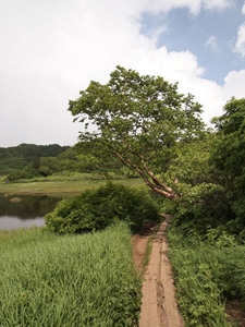 c0011862_153284.jpg