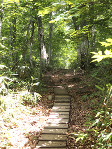 c0011862_1543545.jpg