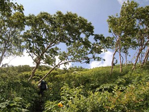 c0011862_154872.jpg