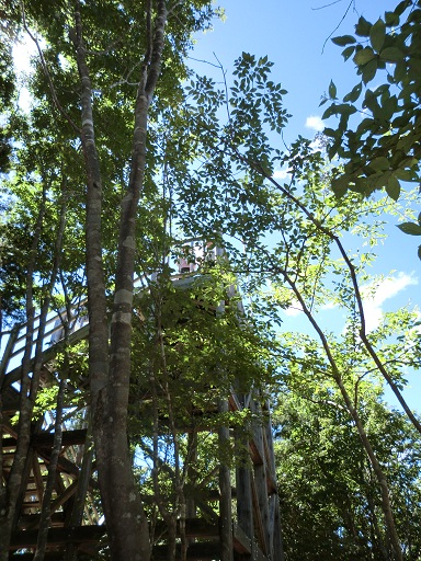 e0170364_1661174.jpg