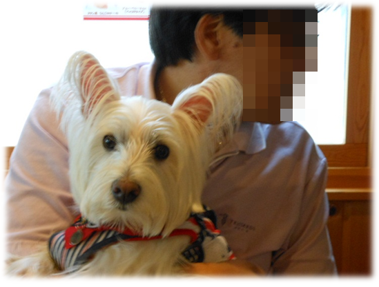 b0242873_14553745.png