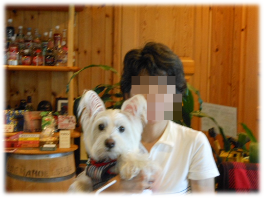 b0242873_1455459.png