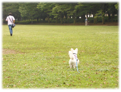 b0242873_14555933.png
