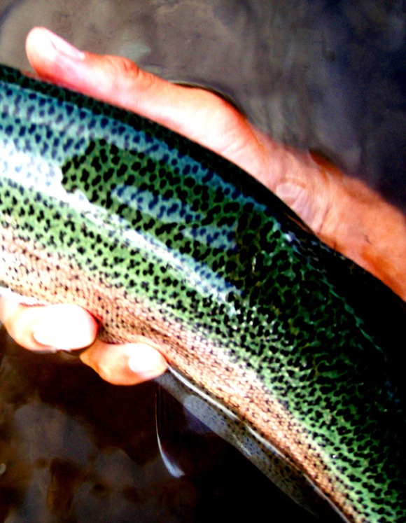 a0169776_211214.jpg
