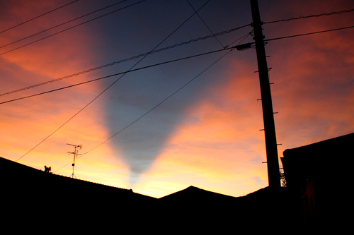 b0224178_93586.jpg