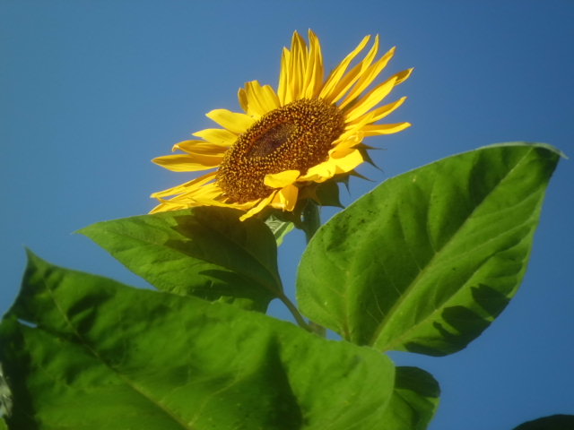 c0223879_7513556.jpg
