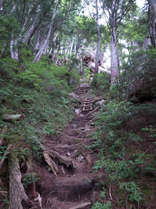 船窪岳〜烏帽子岳縦走 1日目（七倉〜船窪小屋）_a0094280_2040992.jpg