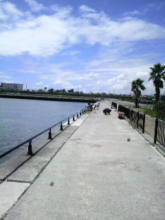 f0228680_995725.jpg