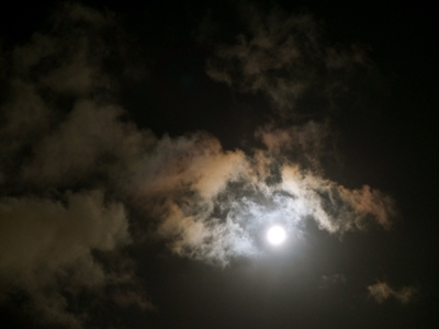 夏の家_a0180681_33186.jpg