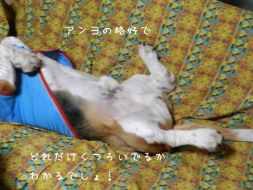 f0205887_14432575.jpg