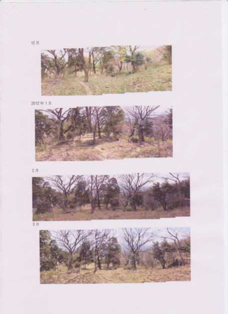 f0222687_16192036.png