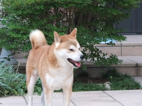b0230589_8493294.jpg