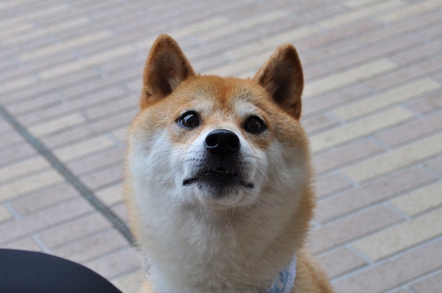 いつまでも忘れない_a0126590_7405673.jpg