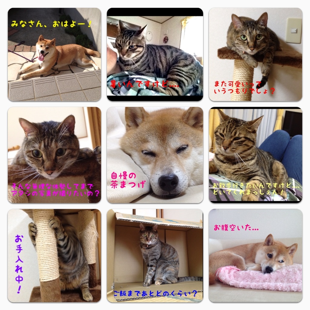 いつまでも忘れない_a0126590_7535631.jpg