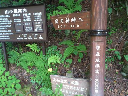 f0202990_17363651.jpg