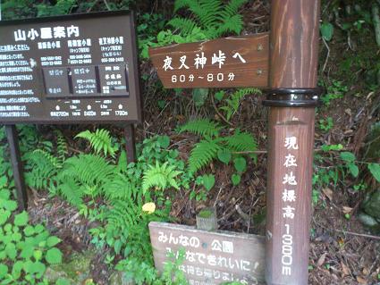 鳳凰三山2012①　オベリスク_f0202990_17363651.jpg