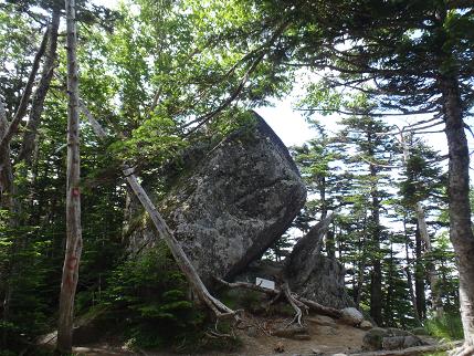 f0202990_17384983.jpg