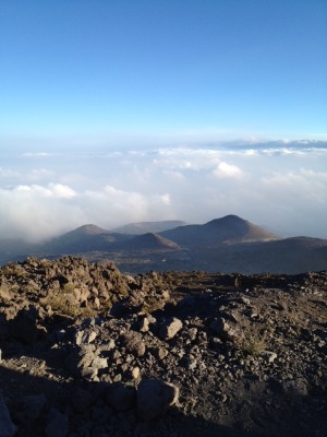 e0161692_3302367.jpg