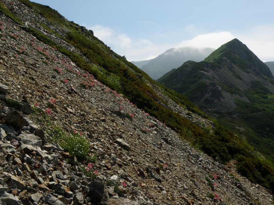 2012/夏山#3　白馬岳頂上宿舎→清水岳・尾根→祖母谷温泉　2012/07/26-27　ガス後晴　単独_c0134193_3302341.jpg